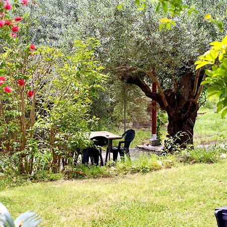 Villa Pelau - Holiday Home Jerzu Ngoại thất bức ảnh