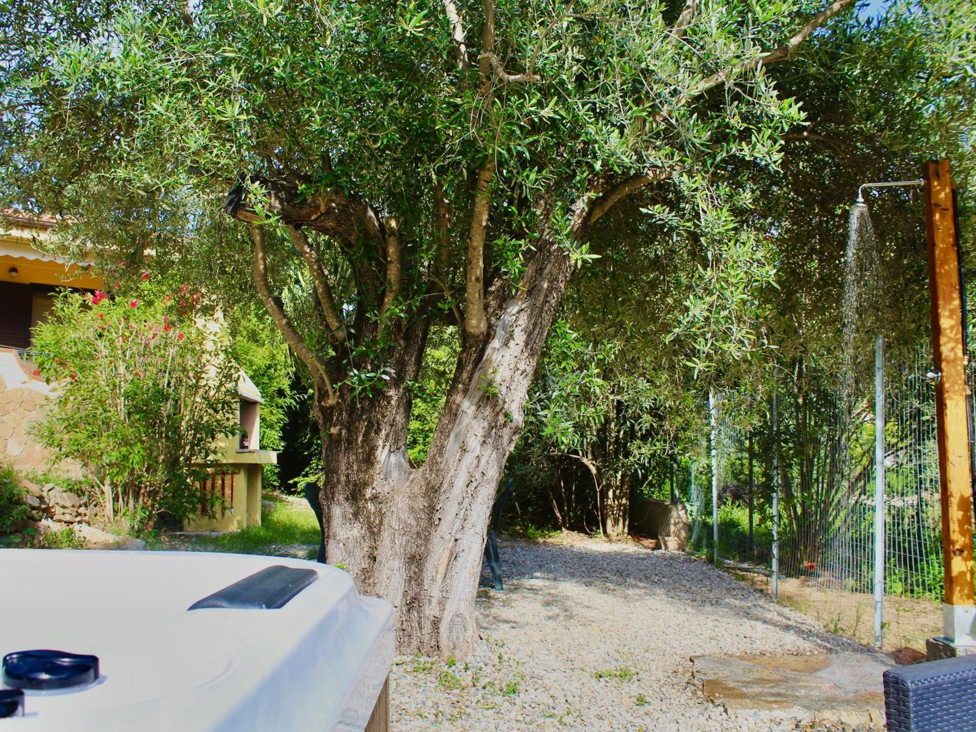Villa Pelau - Holiday Home Jerzu Ngoại thất bức ảnh