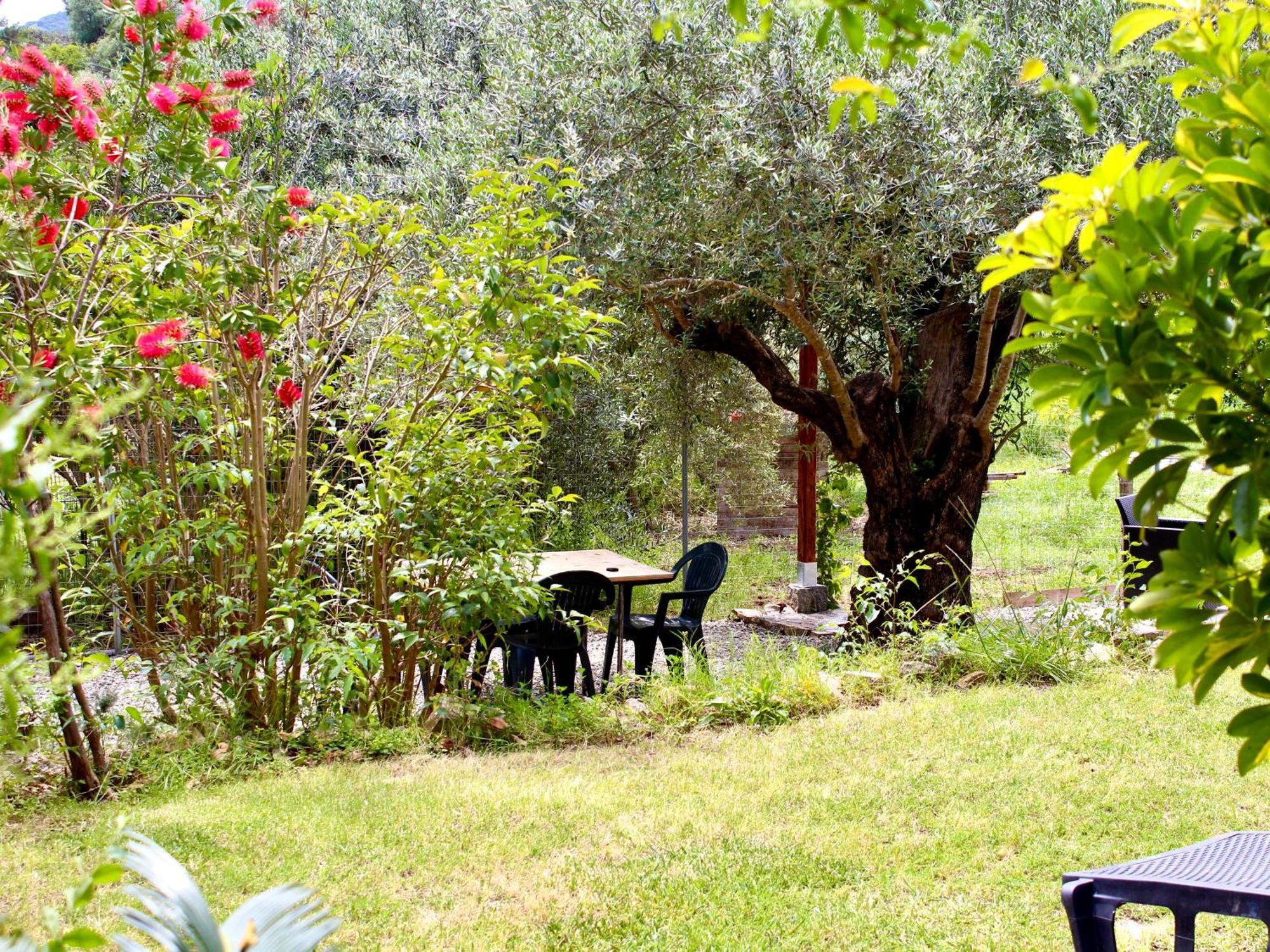 Villa Pelau - Holiday Home Jerzu Ngoại thất bức ảnh